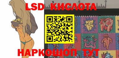 стаф Сланцы