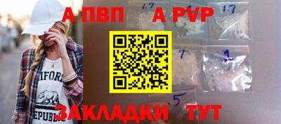 стаф Сланцы