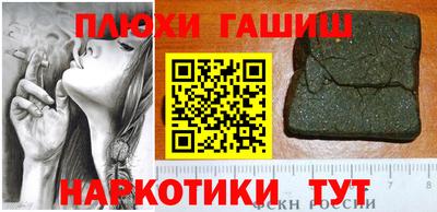 стаф Сланцы